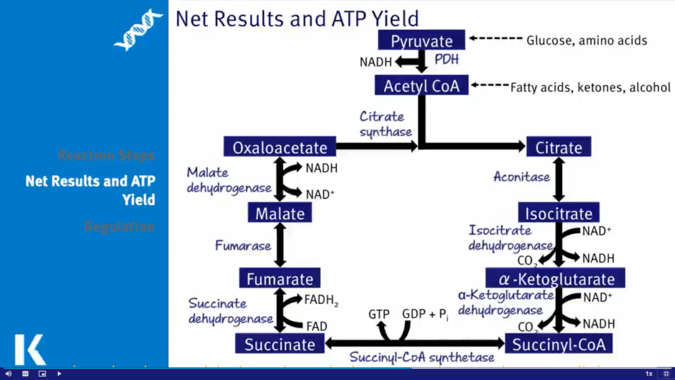 Kaplan MCAT lesson slide