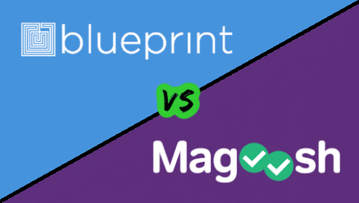 Blueprint vs Magoosh MCAT