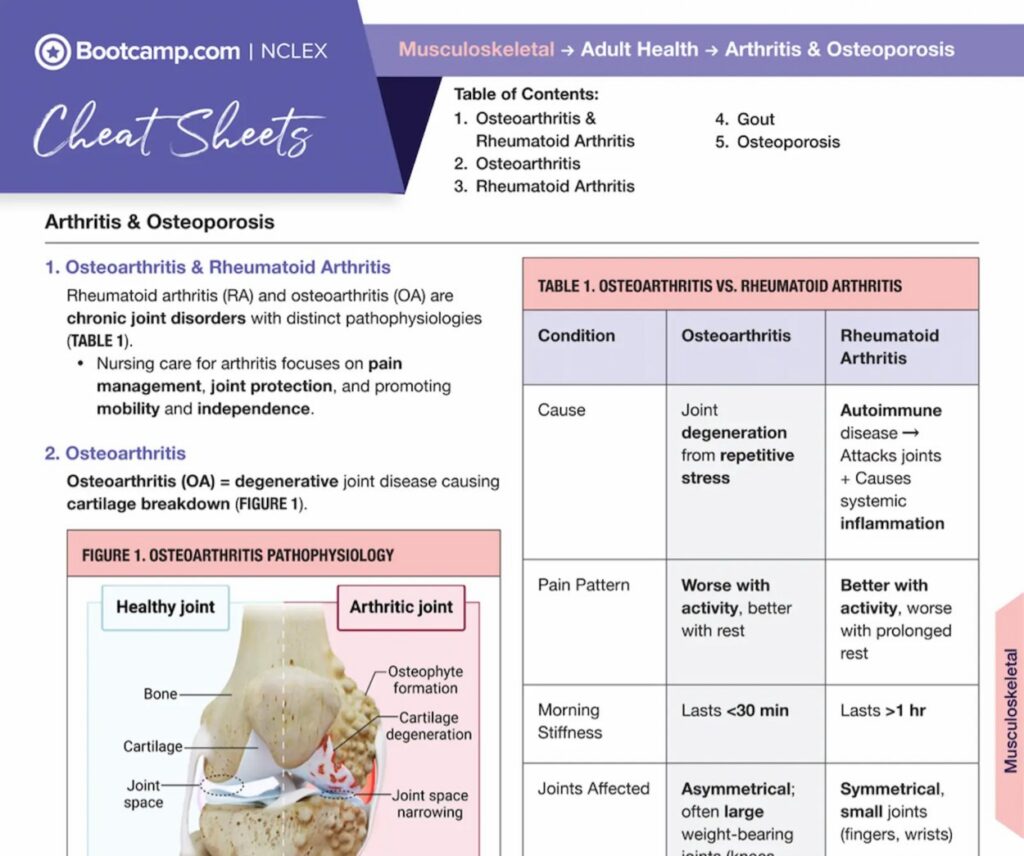 NCLEX Bootcamp Cheat Sheets
