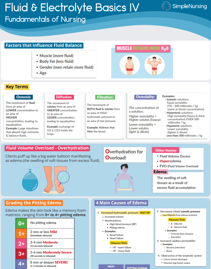 simple nursing nclex study plan